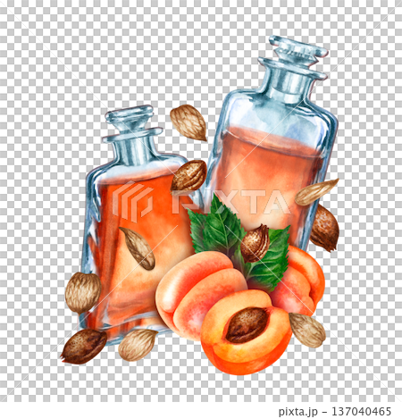Watercolor illustration of apricot botanical oil in vintage glass apothecary bottles with fresh ripe fruit and scattered kernels isolated on white background for cosmetic branding, skincare packaging 137040465