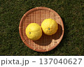 かごに入った黄色いみかん(はるか) 137040627