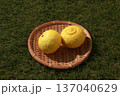 かごに入った黄色いみかん(はるか) 137040629