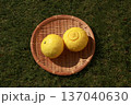 かごに入った黄色いみかん(はるか) 137040630
