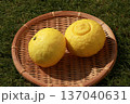 かごに入った黄色いみかん(はるか) 137040631