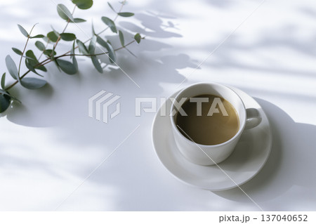 朝の光とコーヒーとユーカリの枝（コピースペース） 137040652