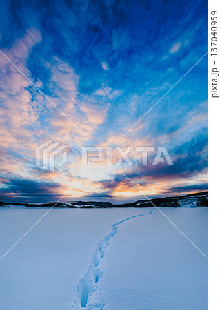 冬の静寂、雪原を進む足跡と彩雲の夕暮れ｜Snow field footprints at sunse 137040959