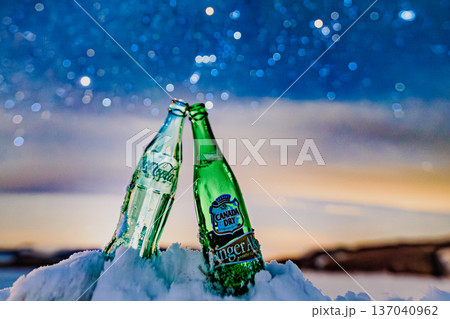 雪原に並ぶボトルと満天の星空 夜のロマンチックな風景 137040962