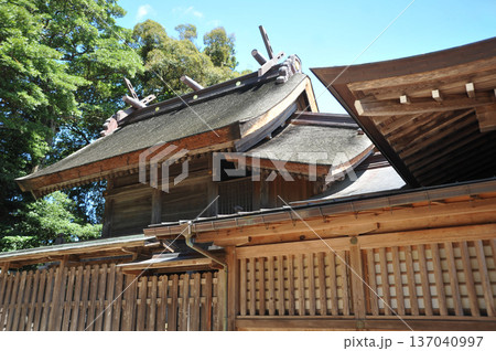 出雲　八重垣神社 137040997