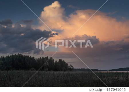 A scenic nature landscape at sunset with pink clouds in the evening sky over a forest and a wild lake. Calm water reflects the colorful scene. 137041043