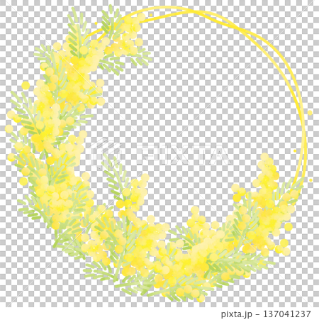 Loose mimosa and loose line round frame 137041237
