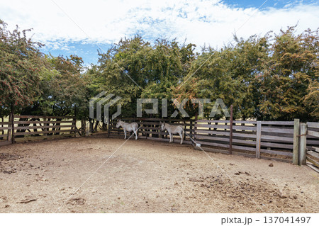 Brickendon Farm Estate Tasmania Australia Brickendon Farm Estate Tasmania Australia 137041497