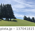 青天の緑の丘　　　　　～Blue sky green hill～ 137041815