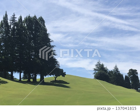 青天の緑の丘　　　　　～Blue sky green hill～ 137041815