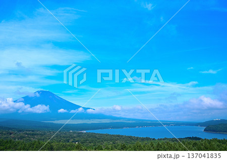山中湖パノラマ台から望む夏の空と富士山 山中湖パノラマ台から望む夏の空と富士山 137041835