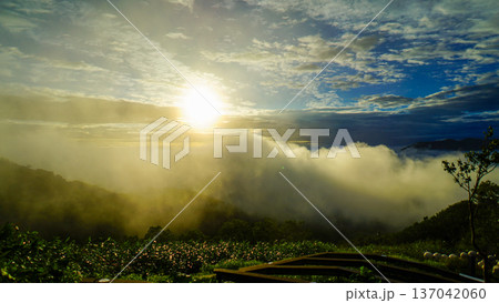 雲海　朝日　幻想風景　山岳絶景　光芒 137042060