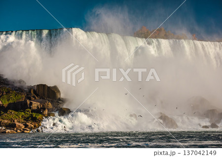 Niagara Falls waterfall with mist clouds and flying birds over powerful cascading water Niagara Falls waterfall with mist clouds and flying birds over powerful cascading water 137042149