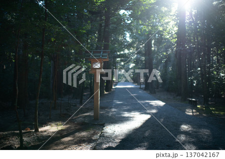 三重県 大紀町 瀧原宮(伊勢神宮 別宮) 早朝の厳かな参道に差し込む朝日 三重県 大紀町 瀧原宮(伊勢神宮 別宮) 早朝の厳かな参道に差し込む朝日 137042167