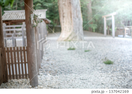 三重県　大紀町　瀧原宮（伊勢神宮　別宮）　早朝の厳かな参道に差し込む朝日 137042169