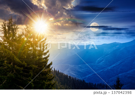 virgin coniferous forest in mountains. day and night time change concept. beautiful spruce trees on a steep slopes on autumn equinox with sun and moon. alpine scenery. equality and shift template 137042398