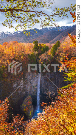 紅葉に囲まれた滝 137042412