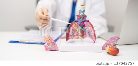 Doctor with Smoker Lung anatomy with magnifying glass. Lung Cancer, Asthma, Chronic Obstructive Pulmonary or COPD, Bronchitis, Emphysema, Cystic Fibrosis, Bronchiectasis, Pneumonia and world Lung day Doctor with Smoker Lung anatomy with magnifying glass. Lung Cancer, Asthma, Chronic Obstructive Pulmonary or COPD, Bronchitis, Emphysema, Cystic Fibrosis, Bronchiectasis, Pneumonia and world Lung day 137042757