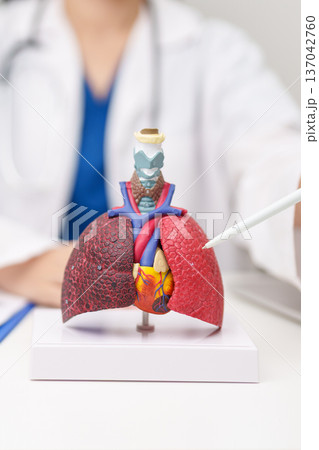 Doctor with Smoker and normal Lung anatomy for Disease. Lung Cancer, Asthma, Chronic Obstructive Pulmonary or COPD, Bronchitis, Emphysema, Cystic Fibrosis, Bronchiectasis, Pneumonia and world Lung day Doctor with Smoker and normal Lung anatomy for Disease. Lung Cancer, Asthma, Chronic Obstructive Pulmonary or COPD, Bronchitis, Emphysema, Cystic Fibrosis, Bronchiectasis, Pneumonia and world Lung day 137042760