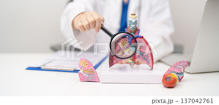 Doctor with Smoker Lung anatomy with magnifying glass. Lung Cancer, Asthma, Chronic Obstructive Pulmonary or COPD, Bronchitis, Emphysema, Cystic Fibrosis, Bronchiectasis, Pneumonia and world Lung day 137042761