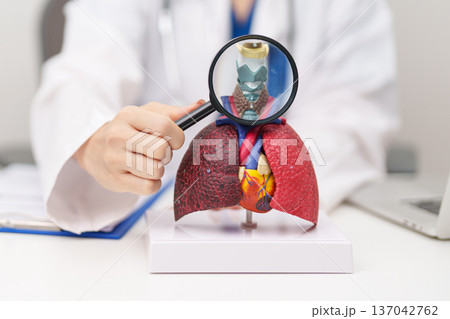 Doctor with Thyroid of Respiratory system anatomy for Diseases. Lung Cancer, Asthma, Chronic Obstructive Pulmonary or COPD, Bronchitis, Emphysema, Cystic Fibrosis, Bronchiectasis and Pneumonia 137042762