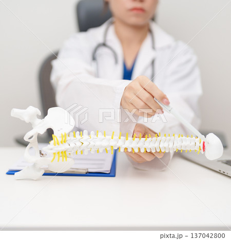 Doctor with human Spine anatomy model. Spinal Cord Disorder and disease, Back pain, Lumbar, Sacral pelvis, Cervical neck, Thoracic, Coccyx, Orthopedist, chiropractic, Office Syndrome and health Doctor with human Spine anatomy model. Spinal Cord Disorder and disease, Back pain, Lumbar, Sacral pelvis, Cervical neck, Thoracic, Coccyx, Orthopedist, chiropractic, Office Syndrome and health 137042800