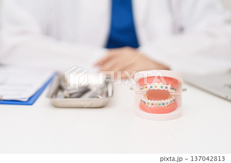 Dentist with Orthodontic tooth model and bracket or brace. Clean and Scrape off tartar. May Orthodontic Health Day, March Oral health, Dentist Day, False Teeth. Toothache and Children Dental Health 137042813