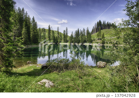 Lake Carezza reflecting coniferous forest in the Dolomites, Italy 137042928