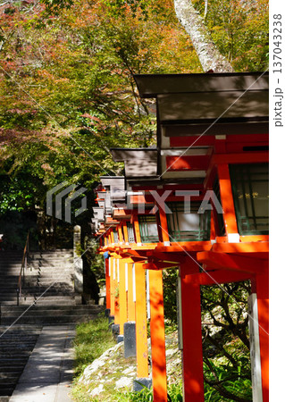 京都鞍馬寺の朱塗りの灯籠がある参道 京都鞍馬寺の朱塗りの灯籠がある参道 137043238