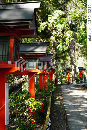 京都鞍馬寺の朱塗りの灯籠がある参道 京都鞍馬寺の朱塗りの灯籠がある参道 137043239