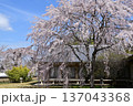 醍醐寺 137043368