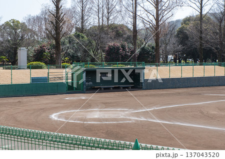 観客席から見下ろすプロ野球場のダグアウト 観客席から見下ろすプロ野球場のダグアウト 137043520