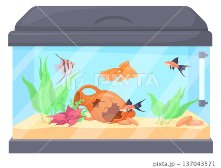 Underwater life in glass aquarium. Fish pet cartoon icon Underwater life in glass aquarium. Fish pet cartoon icon 137043571