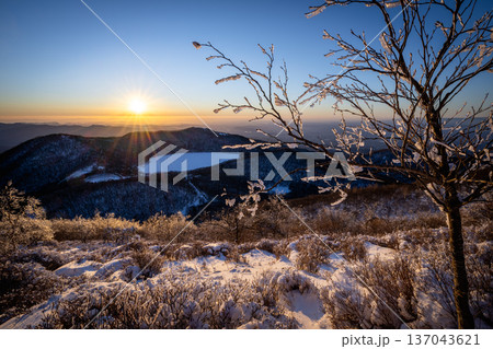 冬の赤城山 地蔵岳から望む凍結した小沼と朝日に輝く霧氷 137043621