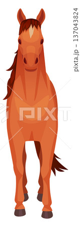 Horse front view. Standing farm animal icon 137043824