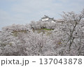 鶴山公園 137043878