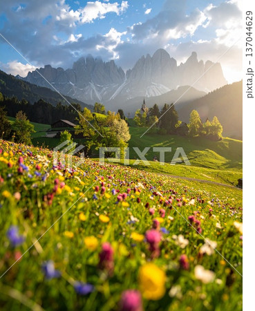 field with mountains and hills field with mountains and hills 137044629