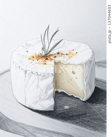 cheese camembert or brie with fresh rosemary cheese camembert or brie with fresh rosemary 137044693