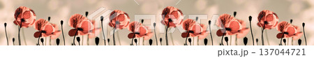 Panoramic vintage style banner of red poppies in a field with sepia background Panoramic vintage style banner of red poppies in a field with sepia background 137044721
