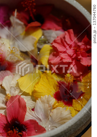 水に浮かぶ色とりどりのハイビスカス、南国の花の背景 137044760