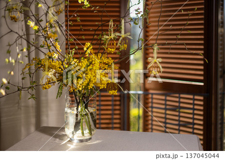 Mimosa branches in a clear glass vase on a table by sunlit wooden shutters, bright yellow blooms creating a cheerful easter or spring still life for a cozy interior 137045044
