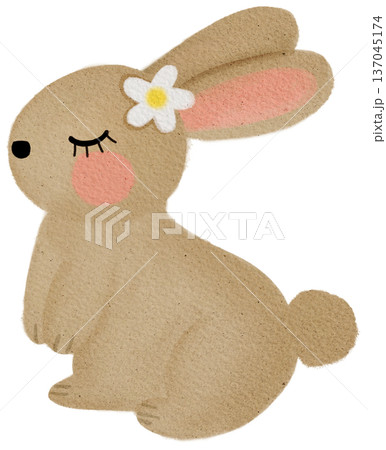 rabbit rabbit 137045174