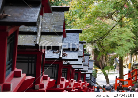 貴船神社参道の朱塗りの灯籠 貴船神社参道の朱塗りの灯籠 137045191
