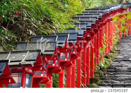 貴船神社参道の朱塗りの灯籠 貴船神社参道の朱塗りの灯籠 137045197