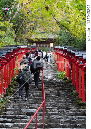 貴船神社参道の朱塗りの灯籠 貴船神社参道の朱塗りの灯籠 137045203