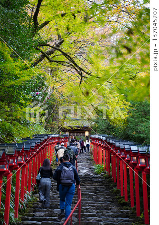 貴船神社参道の朱塗りの灯籠 137045207