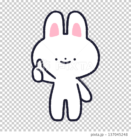 サムズアップするうさぎ 137045248