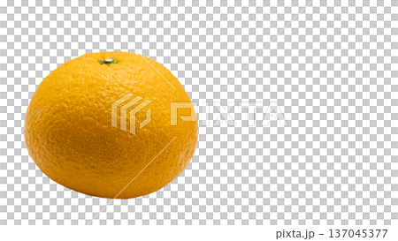 Amanatsu citrus fruit macro transparent background Amanatsu citrus fruit macro transparent background 137045377