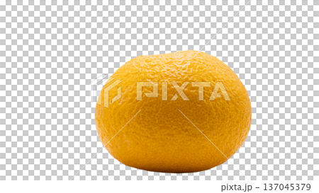 Amanatsu citrus fruit macro transparent background 137045379