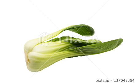 新鮮なチンゲンサイ マクロ写真 背景透過素材 137045384